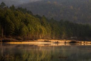 Prvi_zarki_Branko Česnik (1.mesto)